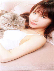 电视剧末路1997